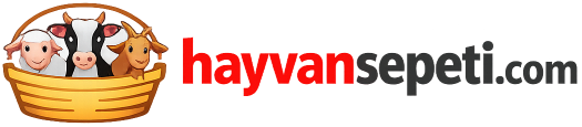 HayvanSepeti - Kurbanlık, Adaklık, Canlı Hayvan ve Evlik Kesim Hizmeti